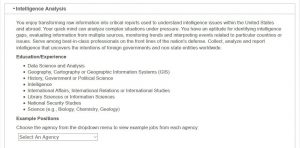 Intellience-Job-Requirements