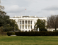 white house front lawn