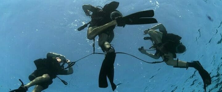 Navy divers in water