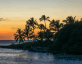 stock photo of palm trees at sunset in Florida