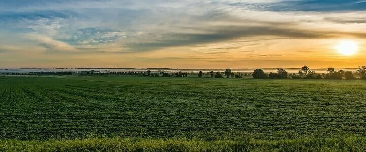 Sunrise over a field in Iowa