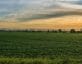 Sunrise over a field in Iowa