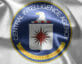 CIA Seal on fabric