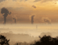 Photo of smokestacks and smoke on horizon at dawn