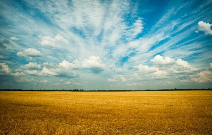 Blue sky and clouds over golden field