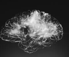 holographic image of human brain white on black