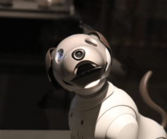 Your Next Robot Dog Could Be a National Security Risk. FCC Pushes Sweeping New Ban