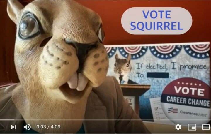 vote-squirrel