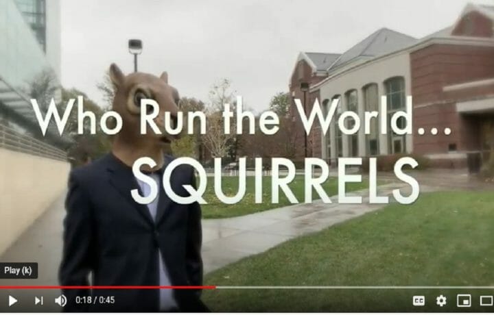 vote-secret-squirrel
