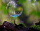 psilocybin drug