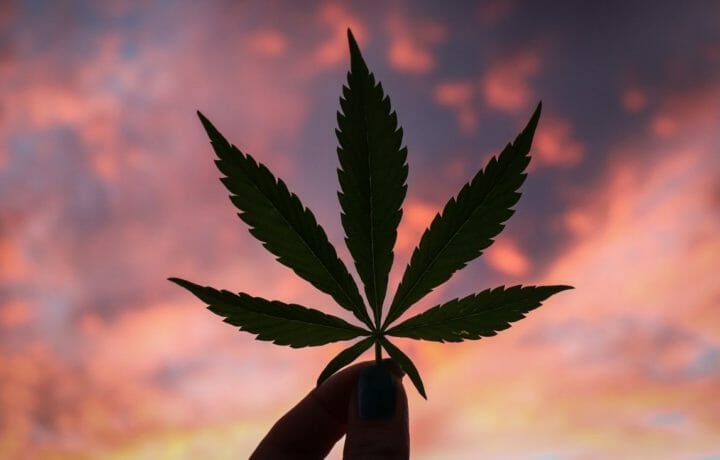 marijuana reform