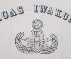 mcas japan eod training