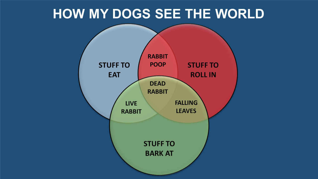 Dogs View