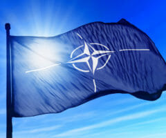 NATO blackberry
