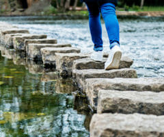 stepping stones