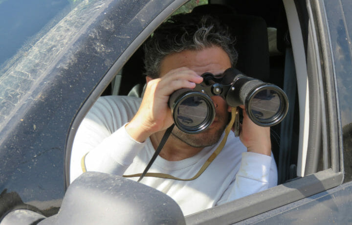 background investigator binoculars spying