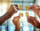 diverse hands building puzzle together