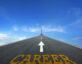 Graphic of a road with the word career in the middle.
