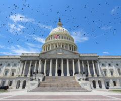 Photo of the Capitol against a blue sky with birds flying.