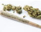 Cannabis rescheduling