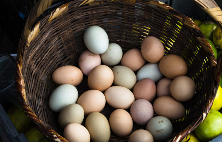 eggs in basket