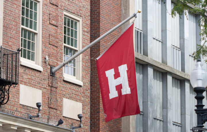 harvard university