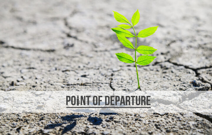 resilient resilience