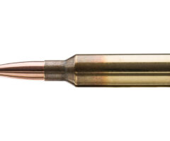 Black Hills Ammunition
