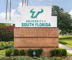 university of south florida