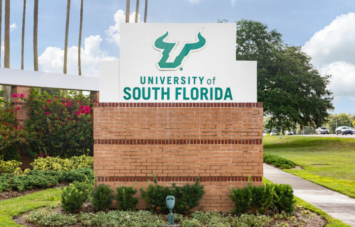university of south florida