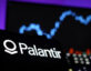 profit palantir stock
