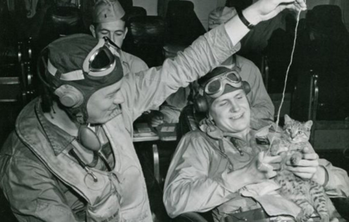 The (Mostly Mythical) World War II Cat-Guided Bombs