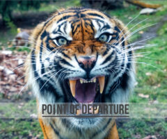 Sorry! Image not available at this time