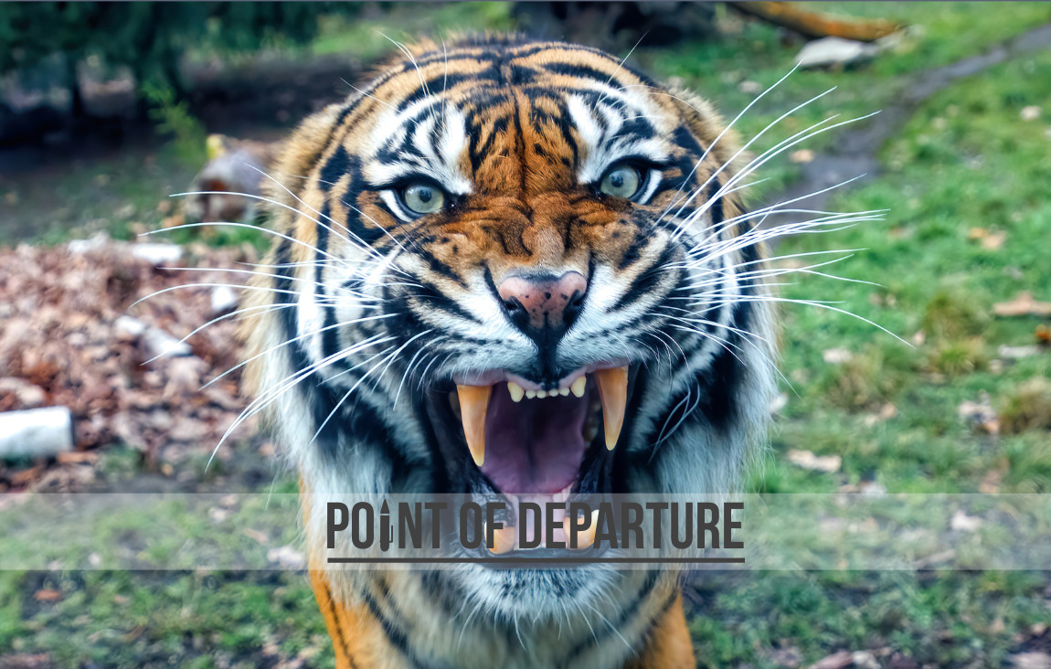 Anger Management: 10 Healthy Ways to Channel Your Outrage