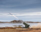Raytheon NASAMS