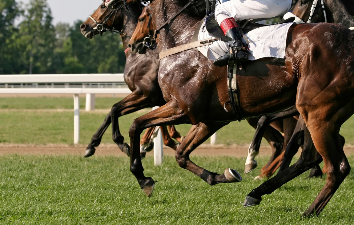 Will Buying Into a Racehorse Partnership Impact My Security Clearance?